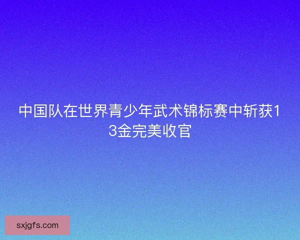 中国队在世界青少年武术锦标赛中斩获13金完美收官